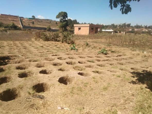 Terrain 300 m² à vendre — Anosiala - photo 4