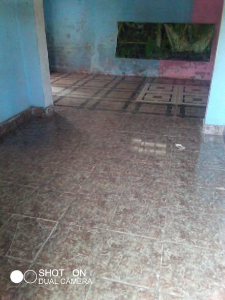 Maison 2 ch. à louer — Ambany - photo 3