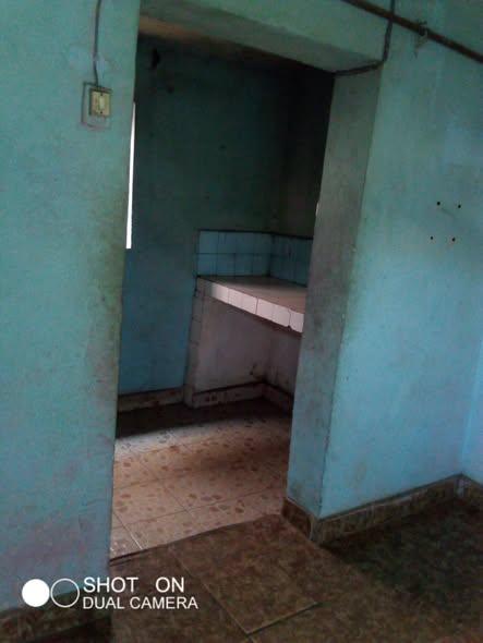 Maison 2 ch. à louer — Ambany - photo 5