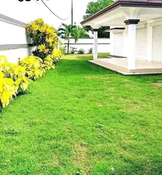 Maison 3 ch. à louer — Toamasina - photo 3