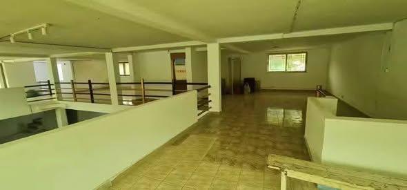 Entrepôt 250 m² à louer — Besarety - photo 5