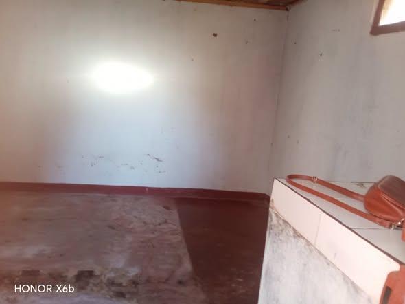 Appartement 1 ch. à louer — Mandroseza - photo 5