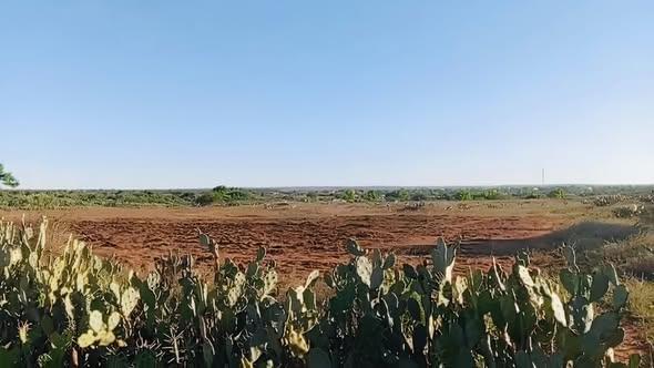 Terrain 1 000 m² à vendre — Ambovombe - photo 1