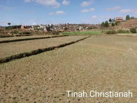 Terrain à vendre — Ambohimangakely | Fonenako