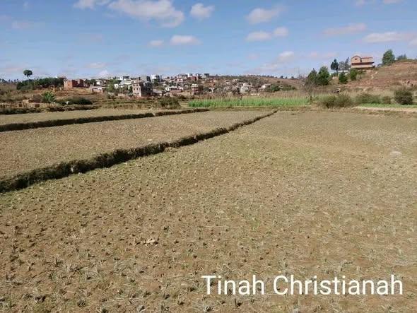 Terrain à vendre — Ambohimangakely - photo 2