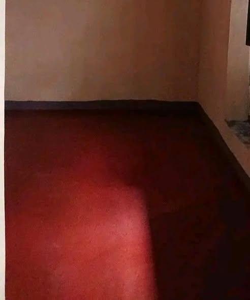 Trano Ahofa 3 ch. à louer — Ambohidroa - photo 1