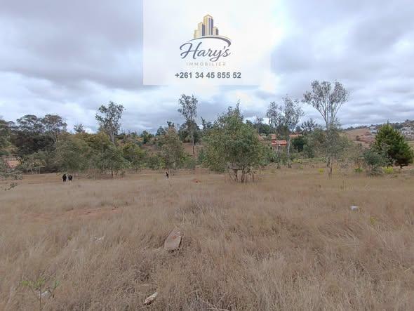 Terrain 1 000 m² à vendre — Ambatobe - photo 5