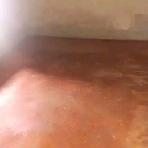 Trano Ahofa 1 ch. à louer — Bemasoandro - photo 1