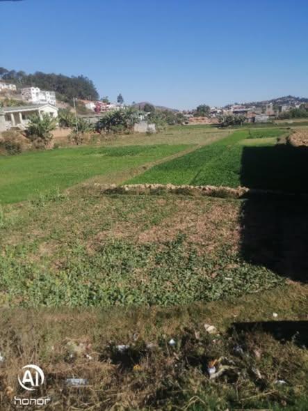 Terrain 2 400 m² à vendre — Iavoloha - photo 1