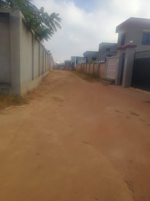 Terrain 300 m² à vendre — Ampitatafika - photo 1