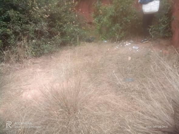 Terrain 200 m² à vendre — Ambohimangakely - photo 1