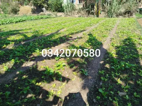 Terrain à vendre — Andranomena — 13 000 000 Ar | Fonenako
