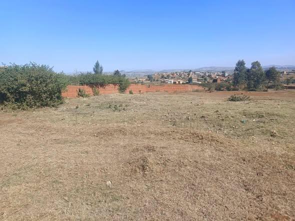 Terrain à vendre — Ambohidratrimo - photo 5