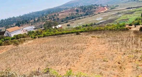 Terrain à vendre — Ambohimanga - photo 1