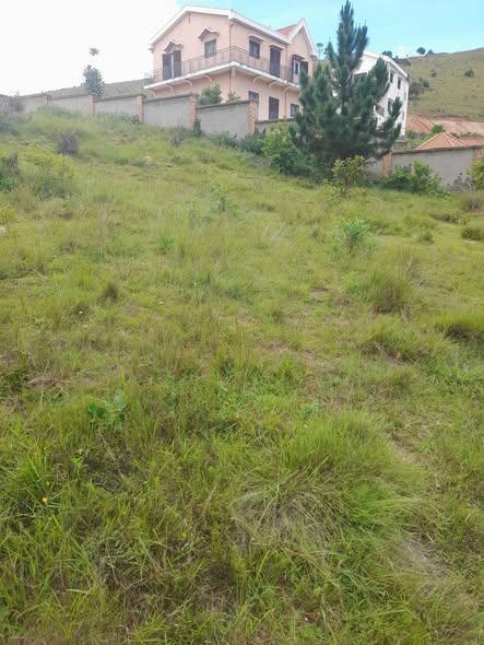 Terrain à vendre — Iavoloha - photo 1