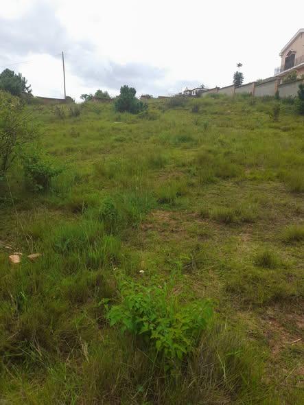 Terrain à vendre — Iavoloha - photo 3
