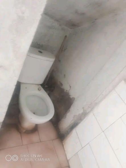 Trano Ahofa 1 ch. à louer — Ambanidia - photo 4