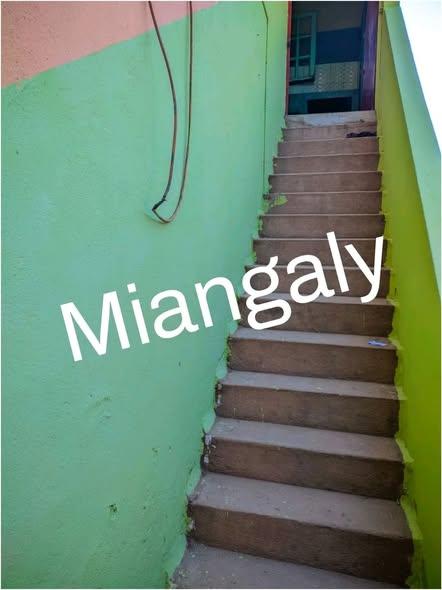 Trano Ahofa 2 ch. à louer — Andavamamba - photo 3