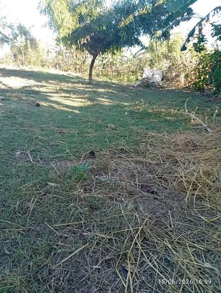 Terrain 800 m² à vendre — Nosy Be - photo 1