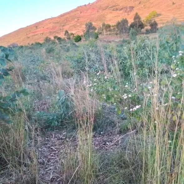 Terrain 3 660 m² à vendre — Amboanjobe - photo 1