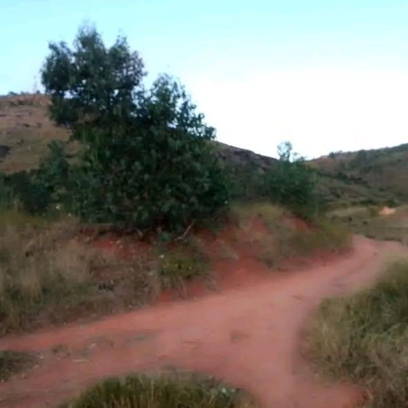 Terrain 3 660 m² à vendre — Amboanjobe - photo 2