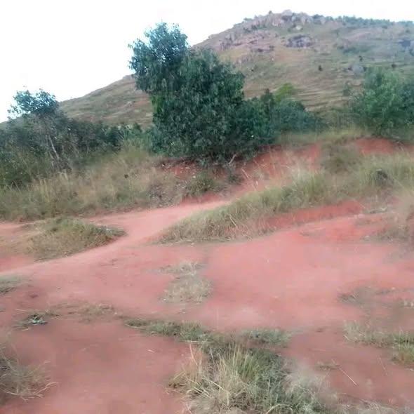 Terrain 3 660 m² à vendre — Amboanjobe - photo 4