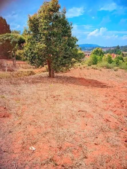 Terrain à vendre — Imerintsiatosika - photo 2