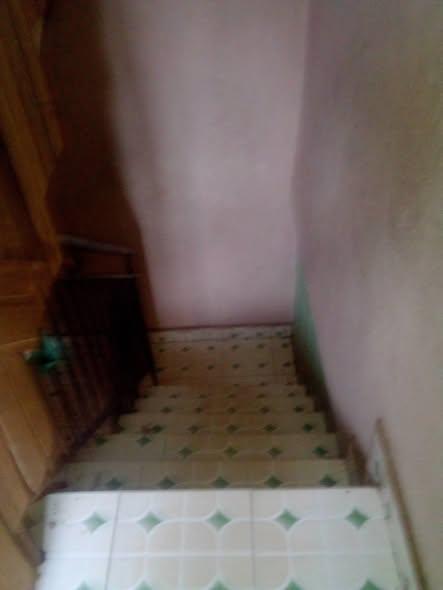 Trano Ahofa 1 ch. à louer — Ambany - photo 2