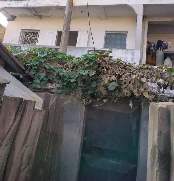 Trano Ahofa 1 ch. à louer — Ambany - photo 2