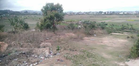 Terrain 244 m² à vendre — Sabotsy Namehana - photo 1