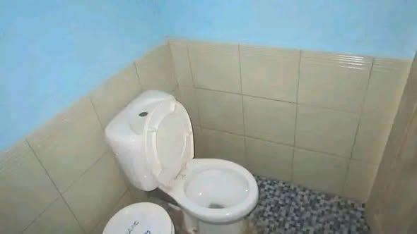 Trano Ahofa à louer — Alasora - photo 5