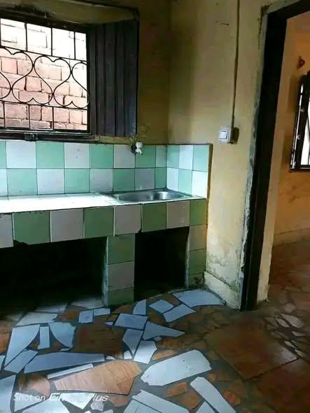 Maison 2 ch. à louer — 67ha - photo 3