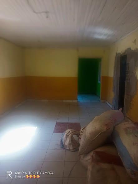 Trano Ahofa 1 ch. à louer — Antanetibe - photo 2