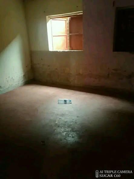 Trano Ahofa 2 ch. à louer — Ambany - photo 2