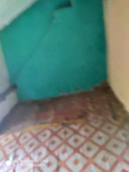 Trano Ahofa à louer — Ankatso - photo 4