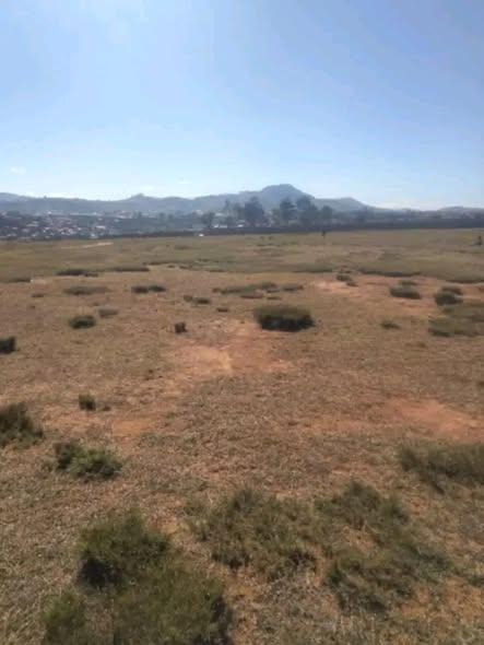 Terre agricole 20 000 m² à vendre — Mahitsy - photo 2