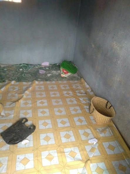Trano Ahofa 1 ch. à louer — Ankatso - photo 1