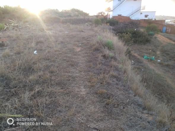 Terrain 500 m² à vendre — Alasora - photo 2