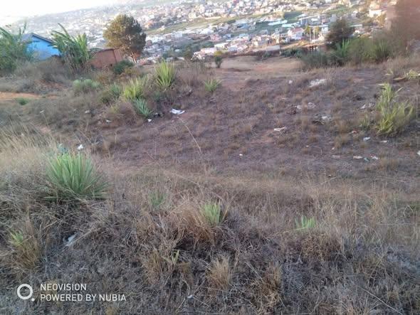 Terrain 500 m² à vendre — Alasora - photo 4