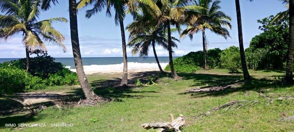 Terrain 10 000 m² à vendre — Mahambo - photo 1