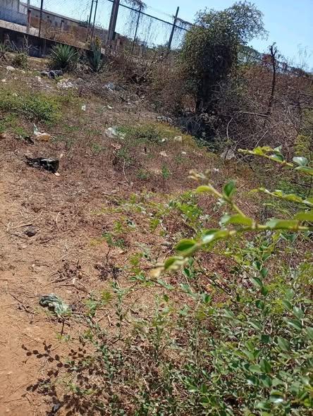 Maison 2 ch. 200 m² à vendre — Mahajanga - photo 3