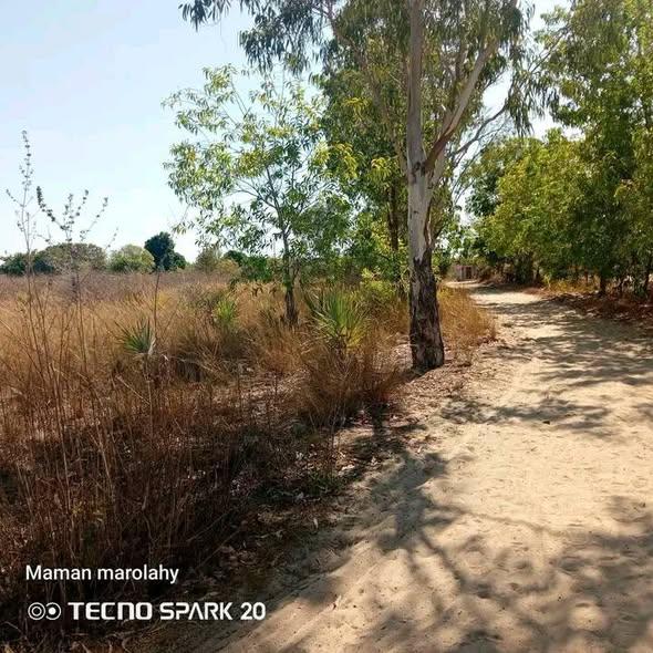 Terrain à vendre — Mahajanga - photo 1