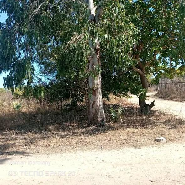 Terrain à vendre — Mahajanga - photo 3