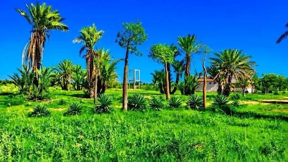 Maison 8 ch. à vendre — Toliara - photo 4