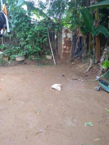 Terrain 56 m² à vendre — Ambohipo - photo 3