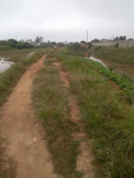 Terrain 56 m² à vendre — Ambohipo - photo 4