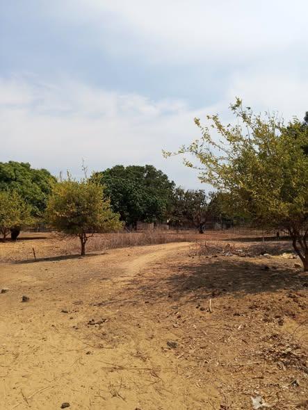 Terrain 400 m² à vendre — Amborovy - photo 1
