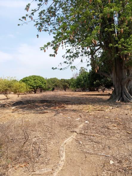 Terrain 400 m² à vendre — Amborovy - photo 2