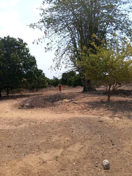 Terrain 400 m² à vendre — Amborovy - photo 5