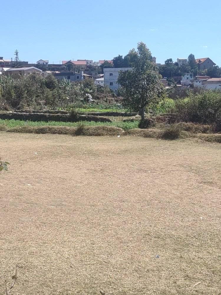 Terrain à bâtir, superficie au choix — Fenoarivo, Antananarivo - photo 1